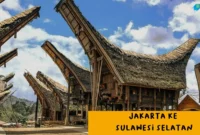 cargo-bisnis23