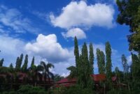 foto-smp-di-kab-indragiri-hulu-1668537072